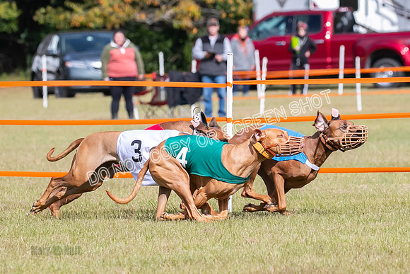 Group B, Prg 2, RR, Race 7-7707