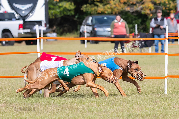 Group B, Prg 2, RR, Race 7-7706