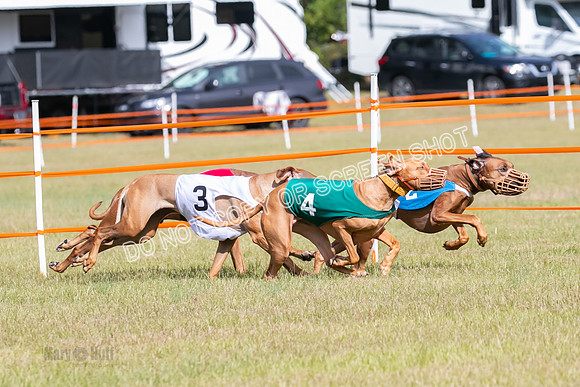 Group B, Prg 2, RR, Race 7-7712