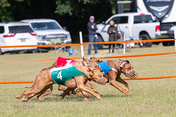 Group B, Prg 2, RR, Race 7-7702