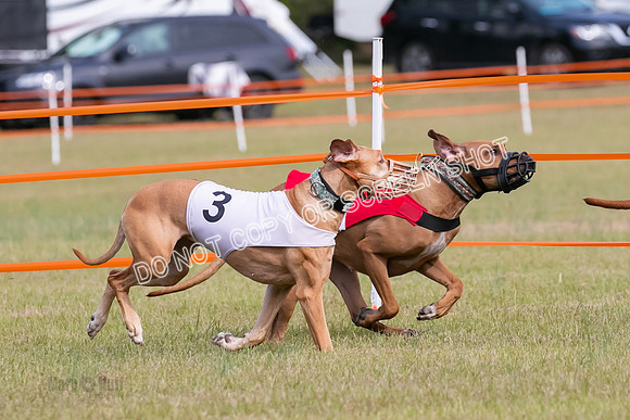 Group B, Prg 2, RR, Race 3-7522