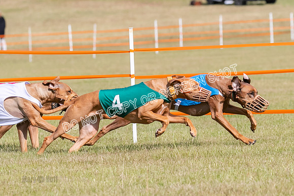 Group B, Prg 2, RR, Race 7-7717