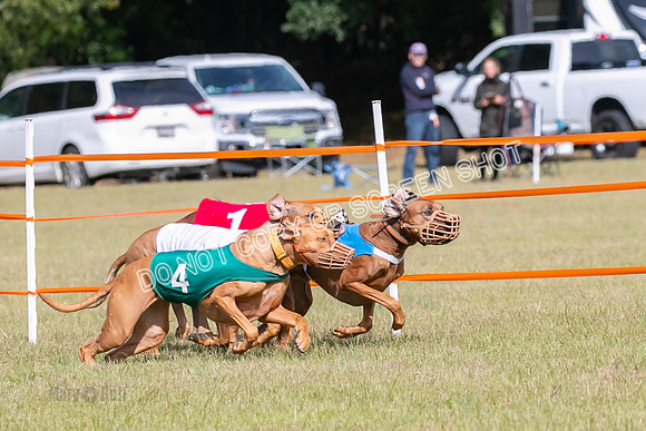 Group B, Prg 2, RR, Race 7-7701