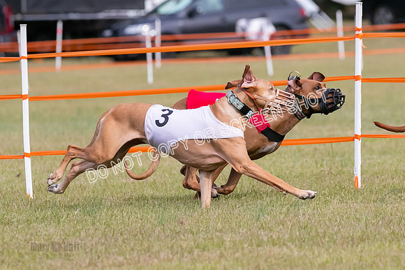 Group B, Prg 2, RR, Race 3-7521