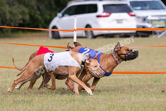 Group B, Prg 2, RR, Race 3-7508