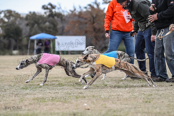 Finals Open 1 Steel Maverick Eggsy-3836