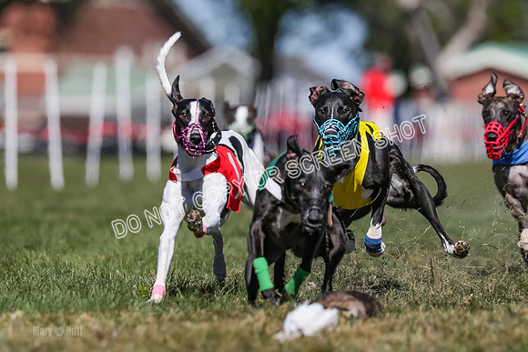 Prg 4, Race 3, Dazzle Margot Cherry Pie Clyps Tahoe-0138
