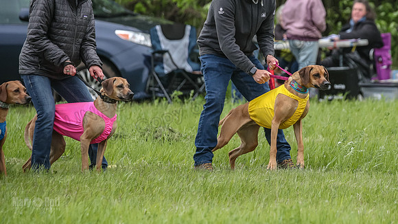 Finals Fch Opal Islay Eve-8997