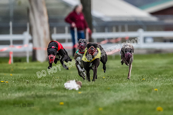 WRA, Prg 1, Race 4, Cassie Duesenberg Warrior Muchu Jasmine-8292