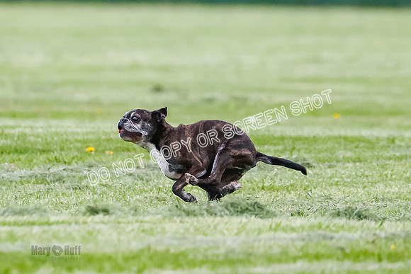 Cat Test 2-1541