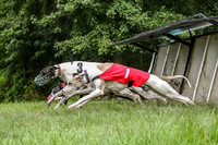 prg 1 race 2 Tissy Wallie Frankie Elsa-3509