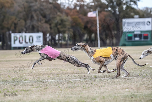Finals Open 1 Steel Maverick Eggsy-3842