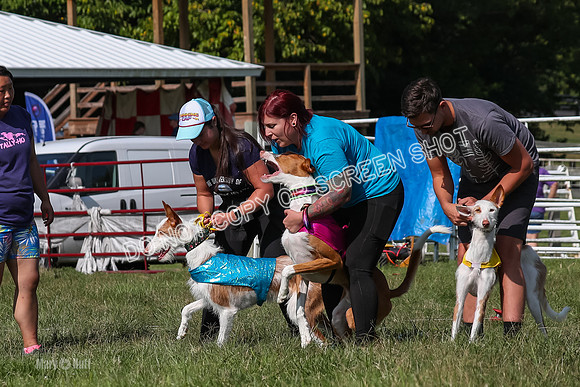 Open Prelim A1, Rose Riptide Idina-7552