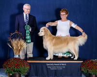 Award of Merit - Show 2, Saturday