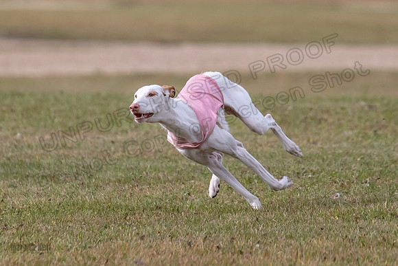 Finals Fch 2 Beastie Willow Ginny-3209