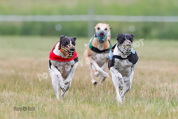 Prg 3, Race 2, Chuck-Tusi-Smokey-Raz-Angel-Nathalia-1050