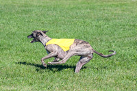 Prelim, Lola-Pearl-3770