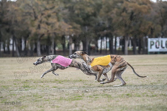 Finals Open 1 Steel Maverick Eggsy-3844