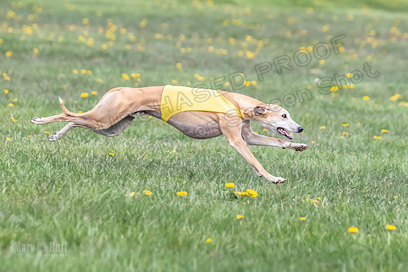 1 Prelim FCh A2 Keegan Really Rush-6663