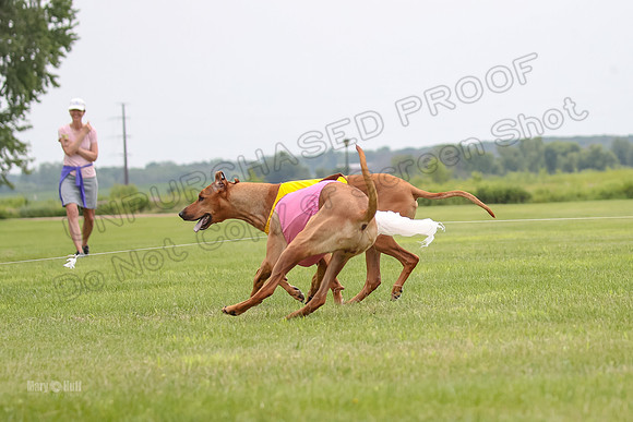 Finals Ripley Lily-2-12