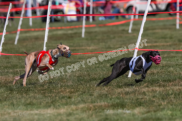 Prg 3, Race 6, Micky Sansa Power Arrow-2063