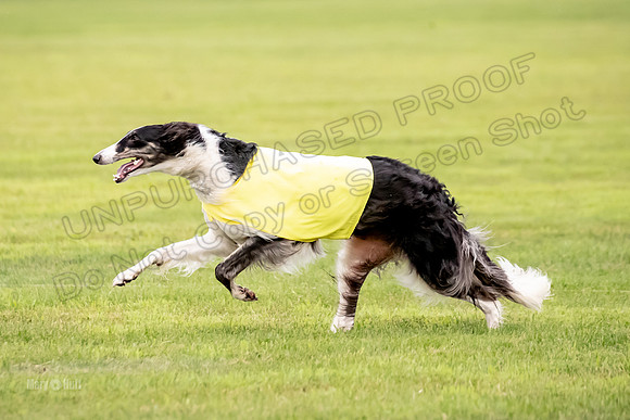 Open Prelim 2, Masquerade Freebie-0541