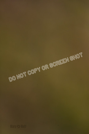 _E4I2277