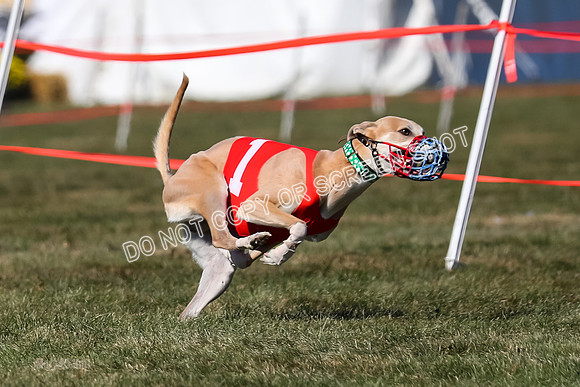 Prg 4, Race 5, Steve Tata Micky Barley-2589