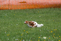IMG_1128