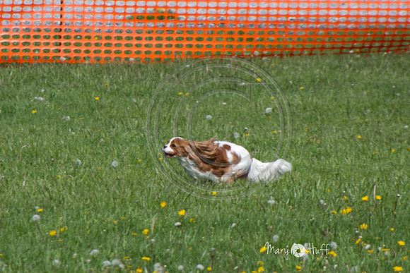IMG_1128