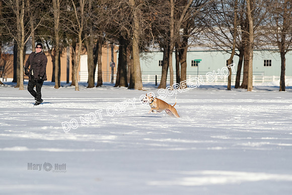 AE4I8276
