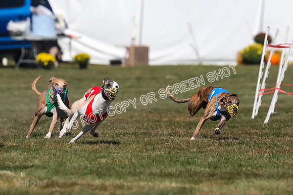 Prg 3, Race 11, Jamie Thunder Dusty Rarity-2213