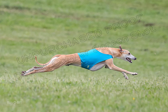 Prelim Open F1, Soarin Checkmate Player-9249