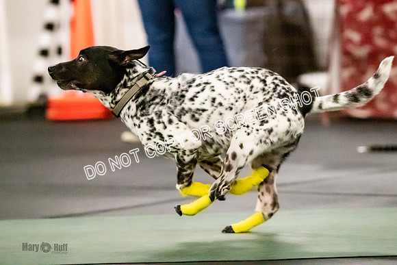 AE4I8957