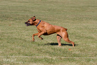 IMG_1758