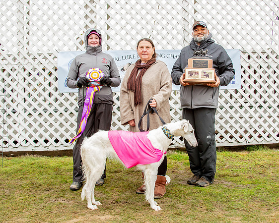 MCH53929