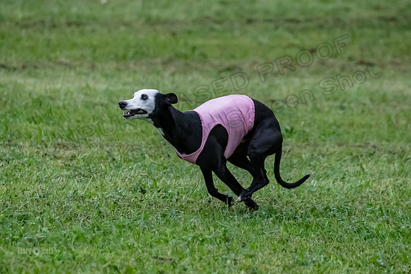Prelim Open C1, Wrath Ozzy Fia-3917