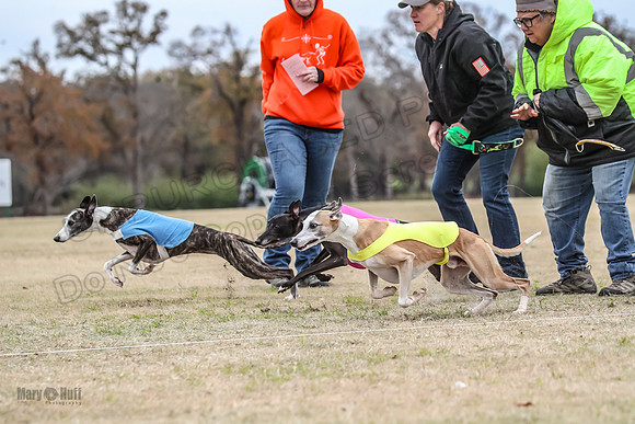 Finals Open 3 Scorch Shine Kashi-4015