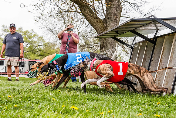 WRA, Prg 3, Race 6, Warrior Beacon Picanha Smudge Entei-9188