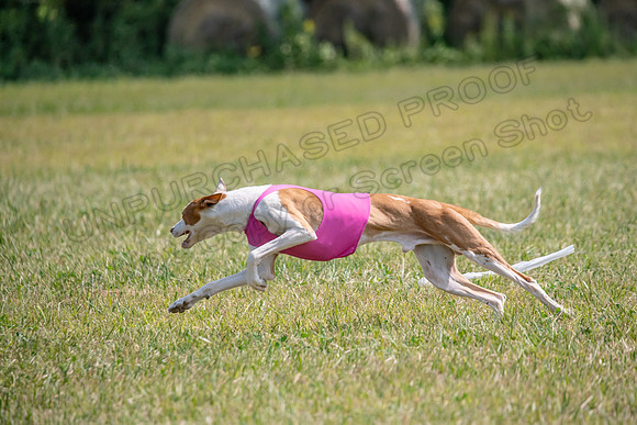 Finals Specials B1 Sketti Fable Libby-1422