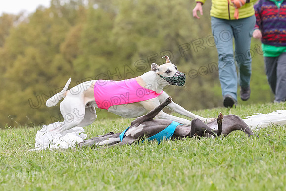 Finals Open G1, Smudge Julian Sneakers-1540