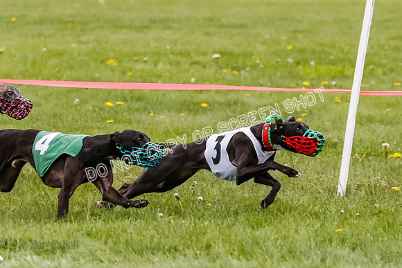 NOTRA Program 4, Race 1, Warrior Barley Flair Victor-2-19