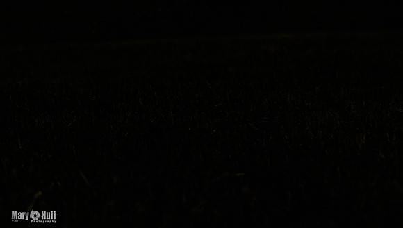AE4I1281