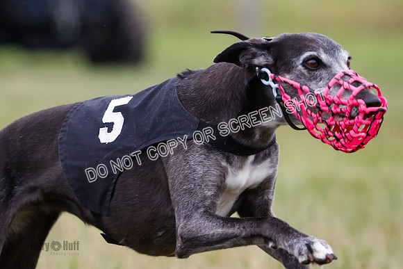 Prg 3, Race 2, Chuck-Tusi-Smokey-Raz-Angel-Nathalia-1069