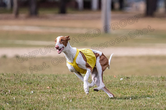 Finals Open 1 Jagger Maverick-3017
