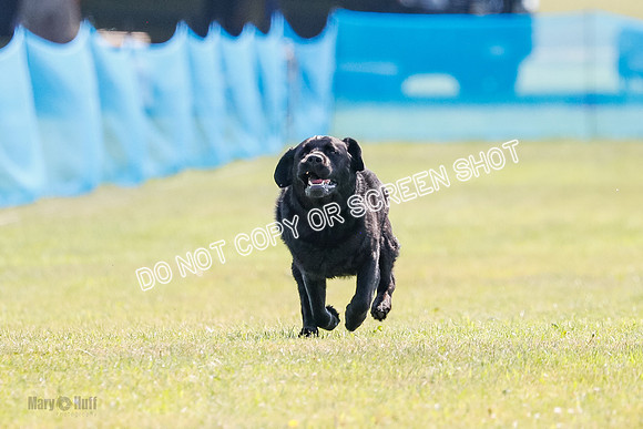 _E4I7901