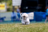 _E4I0459