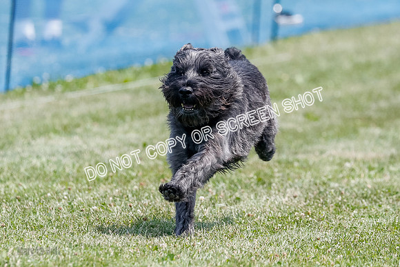 _E4I0232
