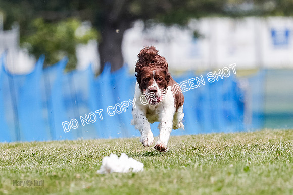 _E4I0663
