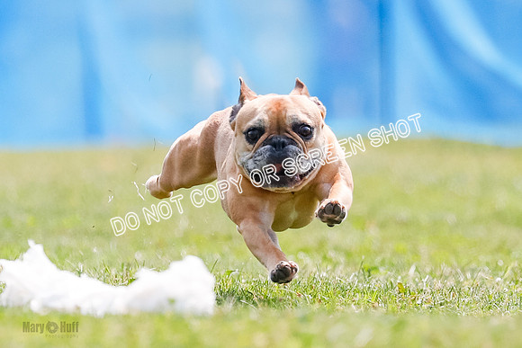 _E4I9834